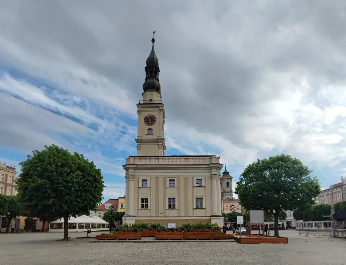 Leszno in numbers and practical facts